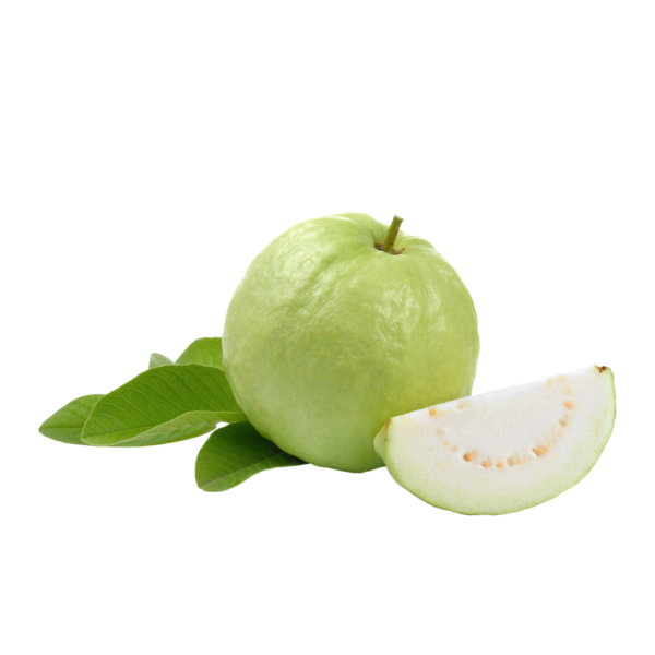 Guava Organic Allhabadi Safeda