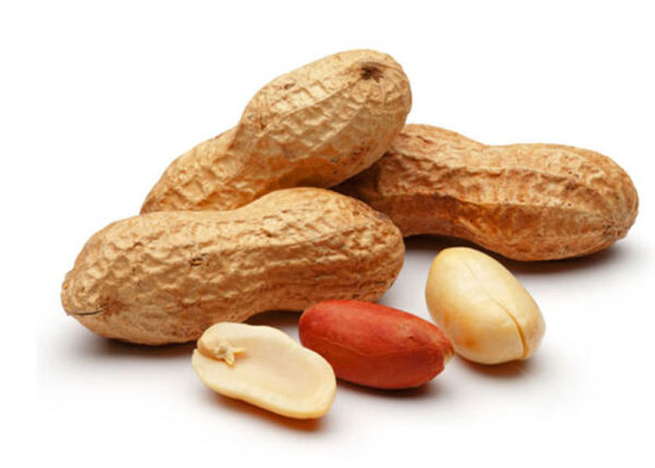Ground Nut/ Palli Verushanaga